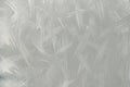 Metal Sheet with Silver Grey Brushed Paint Surface for Texture Background