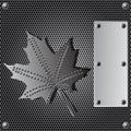 Metal shield background Royalty Free Stock Photo