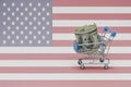 Metal shopping basket with dollar money banknote on the national flag of united states of america background. consumer basket Royalty Free Stock Photo