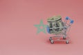 Metal shopping basket with dollar money banknote on the national flag of morocco background. consumer basket concept. 3d