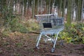 Metal shopping cart stands forgotten in the woods. the customer bought, drove to the spruce forest park. Buy a piece of forest, na Royalty Free Stock Photo