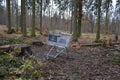 Metal shopping cart stands forgotten in the woods. the customer bought, drove to the spruce forest park. Buy a piece of forest, na Royalty Free Stock Photo