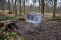 Metal shopping cart stands forgotten in the woods. the customer bought, drove to the spruce forest park. Buy a piece of forest, na Royalty Free Stock Photo