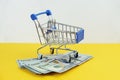 Metal shopping cart stands on top of a stack of hundred dollar bills Royalty Free Stock Photo