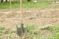 Metal shovel stuck in the ground