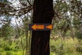 Metal sign with a directional arrow on a tree trunk Royalty Free Stock Photo