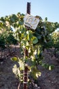 Metal sign in a vineyard Royalty Free Stock Photo