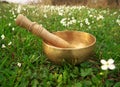 Singing bowl placed in the grass in the middle of small white flowers