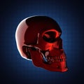 Metal skull on blue background