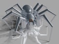 Metal Spider Royalty Free Stock Photo