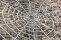 Metal spider web