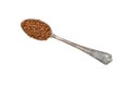 Metal spoon full of freeze dried instant coffee