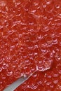 Metal spoon immersed in organic natural red caviar