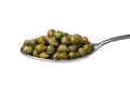 Metal spoon with marinated capers close up on white background Royalty Free Stock Photo