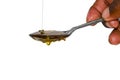 Metal spoon with a pouring drop of golden honey Royalty Free Stock Photo