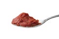 Metal spoon with tomato paste