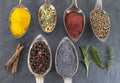 Metal spoons with various ground spices on slate background Royalty Free Stock Photo