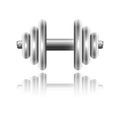 Metal sports dumbbell