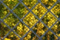Metal square fence with green plants