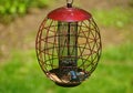 The metal squirrel-proof bird feeder with a tiny blue bird Royalty Free Stock Photo
