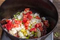 Metal stock pot with soup ingredients vegetables and meat Royalty Free Stock Photo