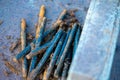 Metal stud, fasteOld metal studs covered in rust, close-up, selective focus.ning part, rust Royalty Free Stock Photo