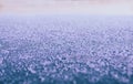 Background: smooth metallic surface covered with thick frost and illuminated by dim morning light