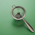 Metal tea strainer with a mesh bowl is resting on a light green surface. The handle is Royalty Free Stock Photo