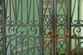 Metal texture of black and rusty steel bars with a forged pattern on the gate Royalty Free Stock Photo