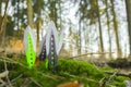 metal throwing knives set in green moss on sunny pine forest background.Outdoor sports.Throwing knives.Throwing