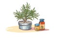 metal tin of tea tree oil balm beside a tea tree plant