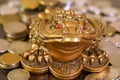 A metal toad next to a stack of coins. Symbol of happiness and financial success