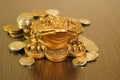A metal toad next to a stack of coins. Royalty Free Stock Photo