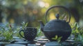 Metal traditional chinese tea pot on the stone in park Royalty Free Stock Photo