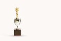 A metal trophy with wooden base on a white background