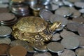 A metal turtle next to a stack of coins. Symbol of financial well-being