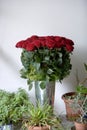 Metal vase of a bunch of red roses and other plants Royalty Free Stock Photo