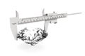 Metal Vernier Caliper with Diamond