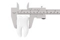 Metal Vernier Caliper with White Tooth. 3d Rendering