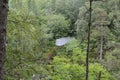 Metal Viewpoint in Trees