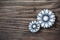 Metal vintage buttons in flower image
