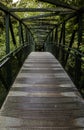 Metal walkway in a forest