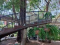 Metal walkway stairs make a curved path in the garden.