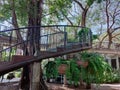 Metal walkway stairs make a curved path in the garden.