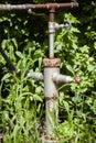 Metal Water Spigot