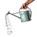 A metal watering can in hand isolated on a white or transparent background. Water splashes and droplets pour out of the Royalty Free Stock Photo