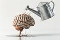 Metal Watering Can Pouring Water on Brain Royalty Free Stock Photo