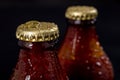 Metal wet cap on a dark glass bottle. A tasty drink closed with a cap. Royalty Free Stock Photo