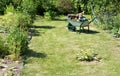 The metal wheelbarrow is on a garden lawn Royalty Free Stock Photo