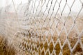 The metal wire mesh fence is covered with white hoarfrost, snow, ice on a winter day. Frozen hedge texture backdrop. Cold weather Royalty Free Stock Photo